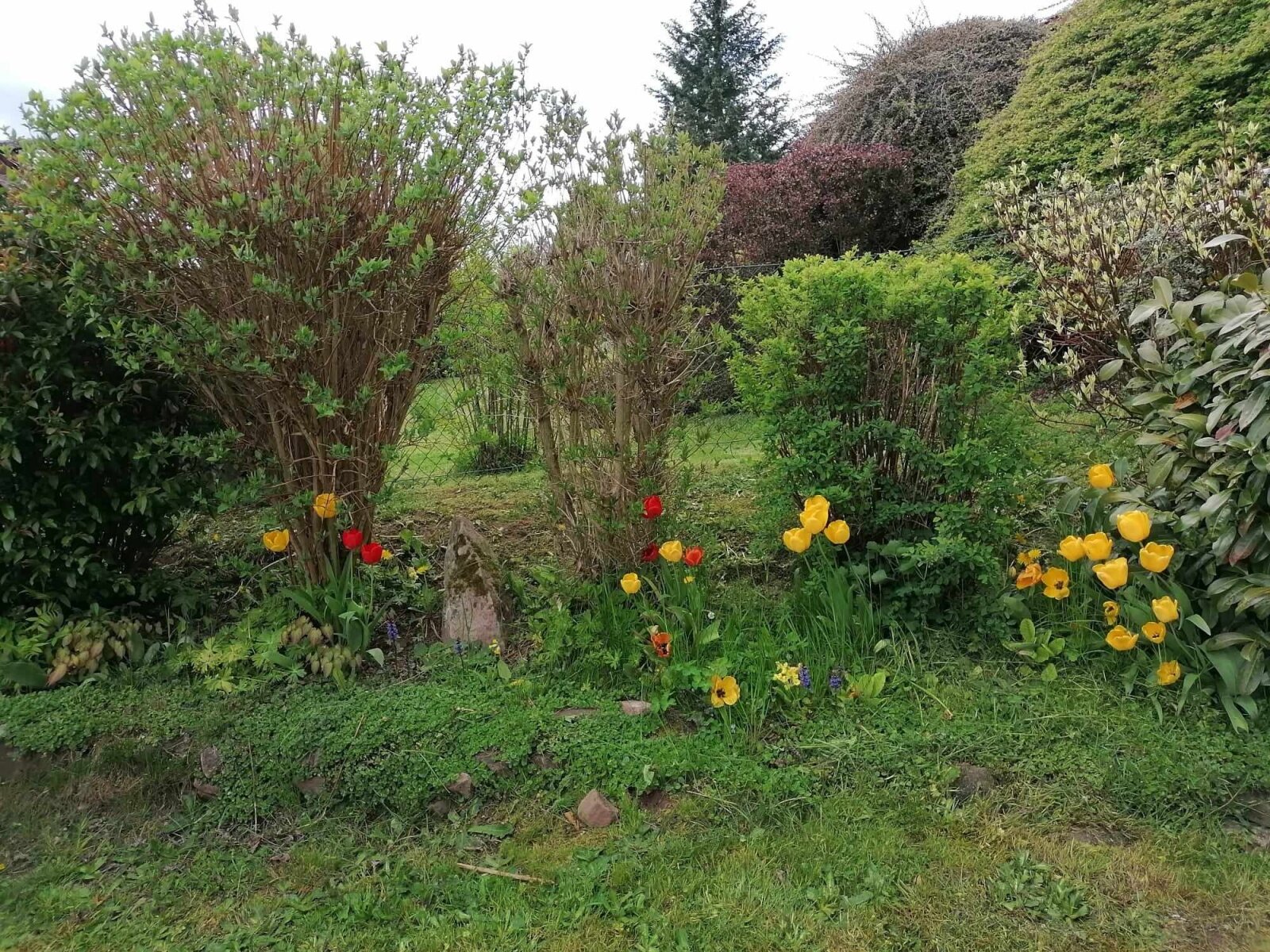 EFH mit Sonnenhoflage und Doppelgarage – Wohlfühloase mit Panoramablick