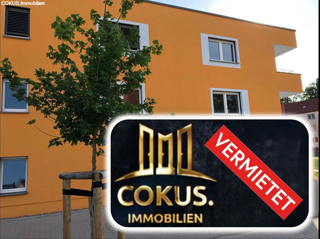 Steinbach-Hallenberg: 2 Raum Traumwohnung - Fahrstuhl, Küche, Balkon barrierefrei  Steinbach-Hallenberg: 2 Raum Traumwohnung - Fahrstuhl, Küche, Balkon barrierefrei