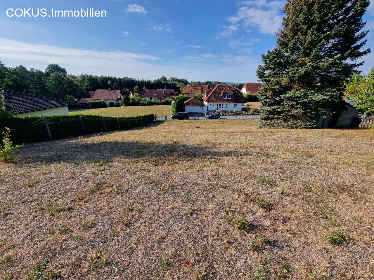 Blick zur Zufahrt Baugrundstück Blick zur Zufahrt Baugrundstück