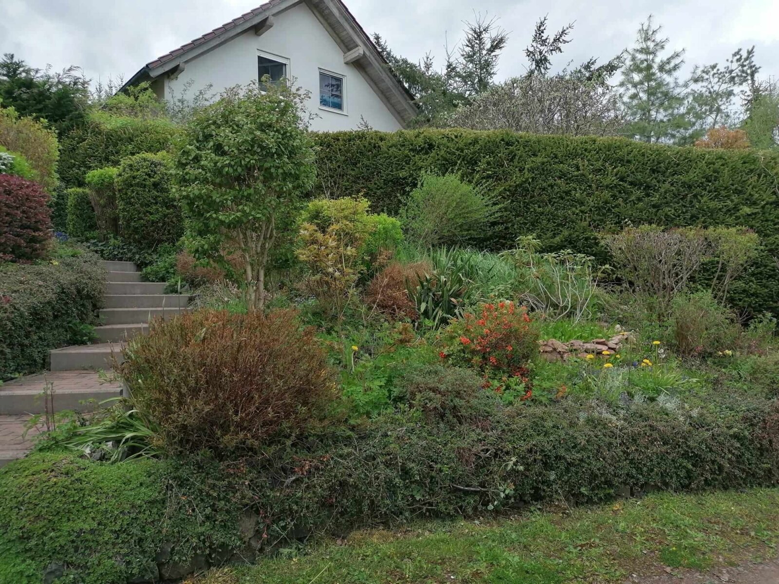 oberer Garten oberer Garten