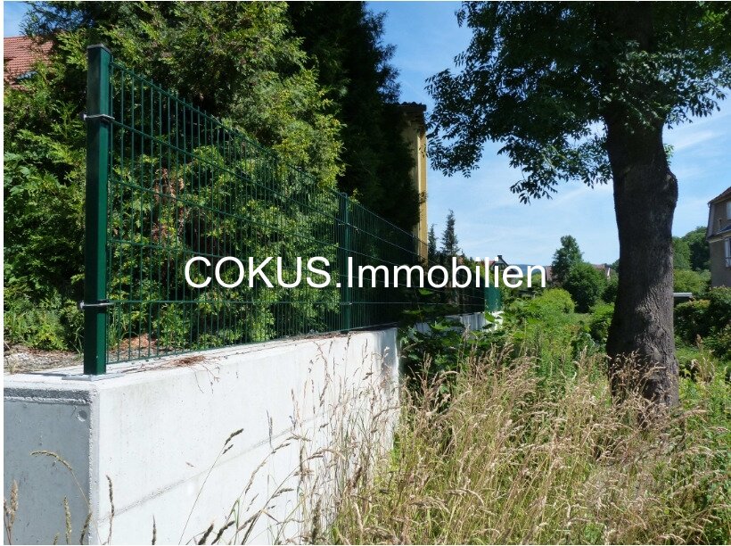Stützmauer und Zaunanlage Stützmauer und Zaunanlage