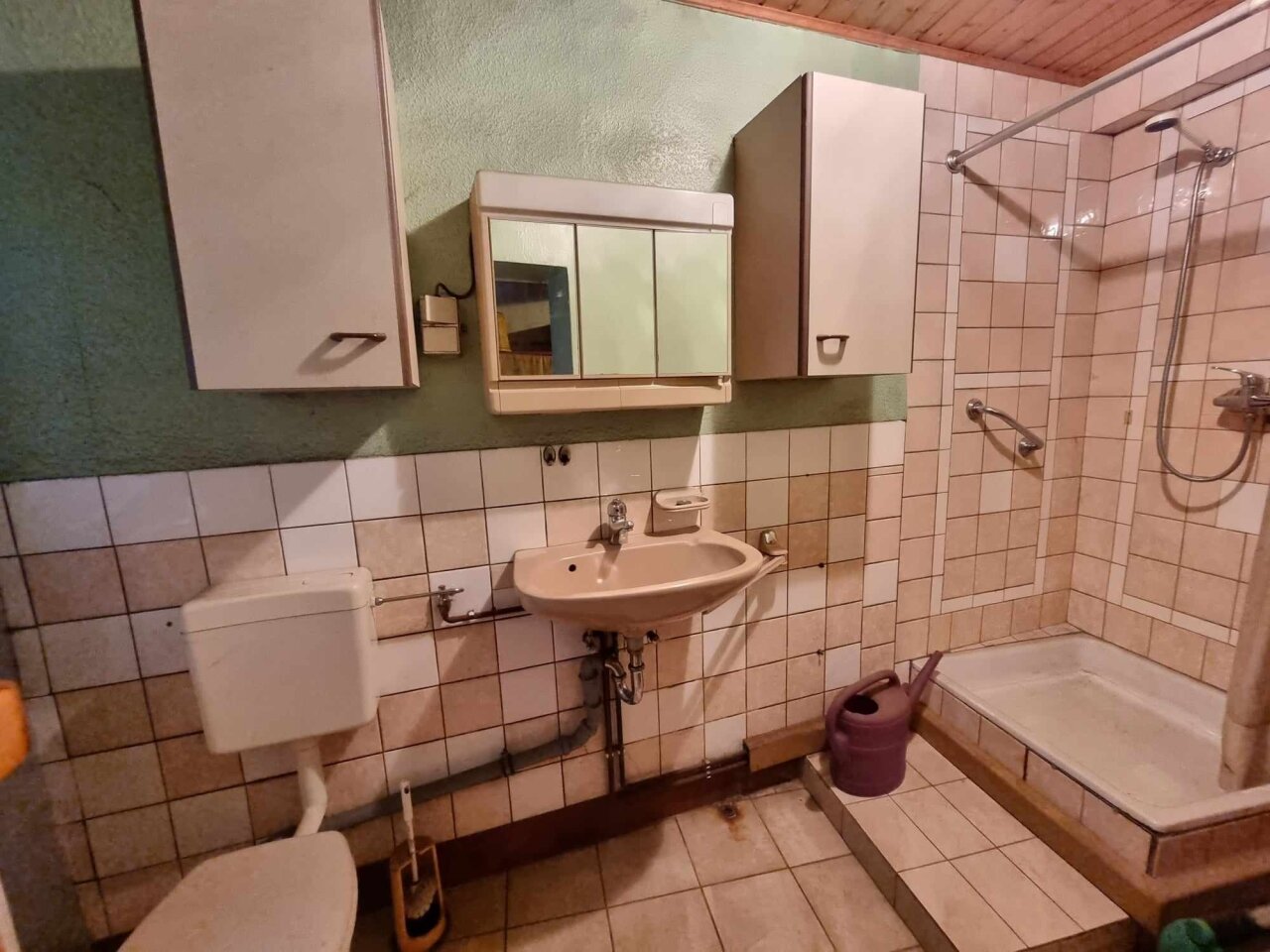 Bad mit Dusche und WC im Erdgeschoss Bad mit Dusche und WC im Erdgeschoss