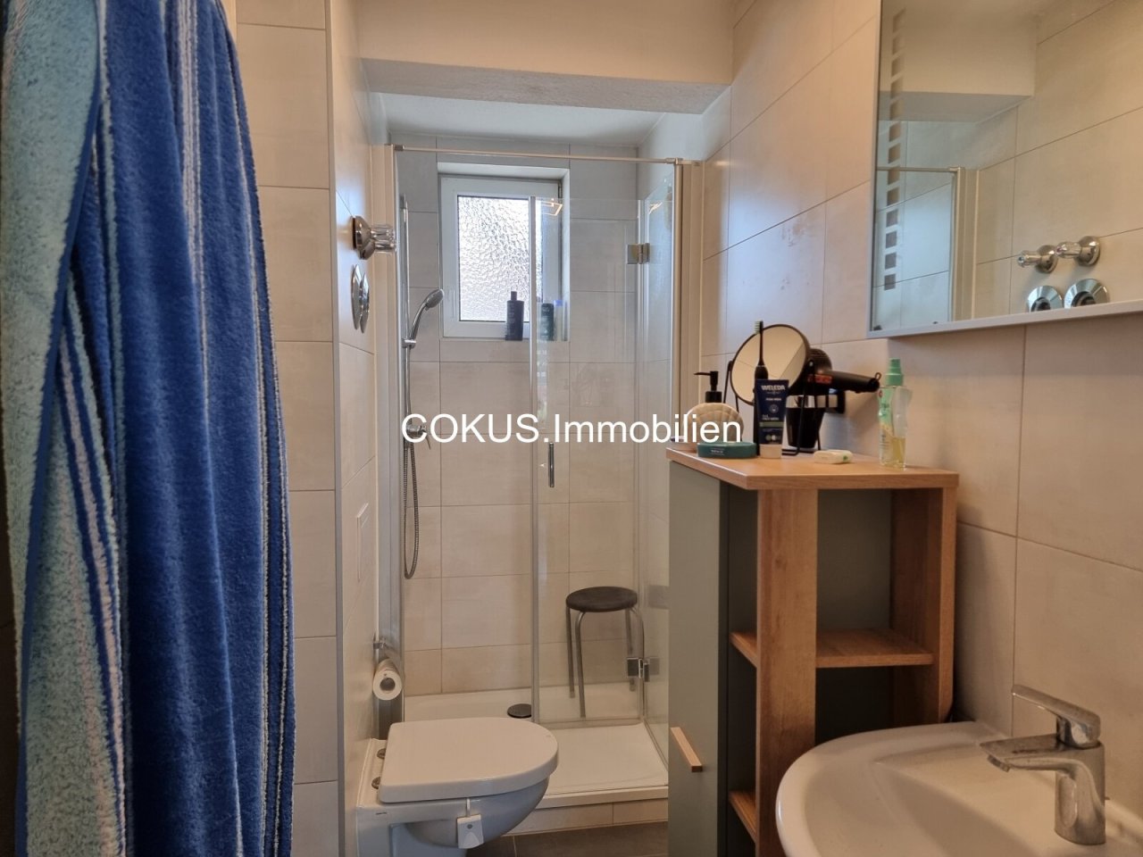 Modernes Tageslichtbad mit Dusche, WC und Waschtisch Modernes Tageslichtbad mit Dusche, WC und Waschtisch