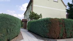 Zugang zum Grundstück Zugang zum Grundstück