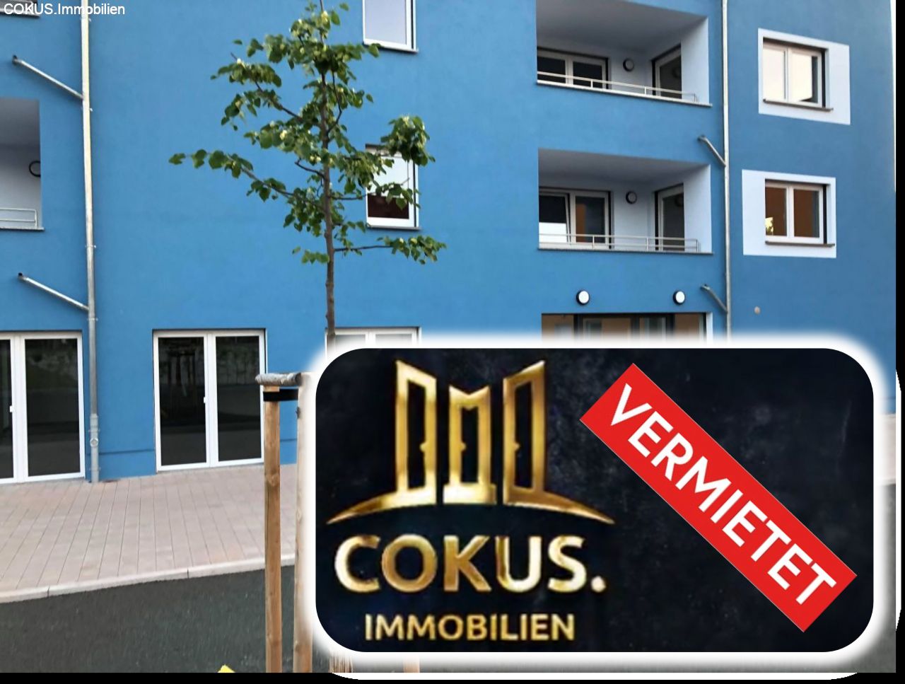 Steinbach-Hallenberg: 2 Raum Penthouse Steinbach Hallenberg - Fahrstuhl, Küche, Terrasse- Erstbezug barrierefreie  Steinbach-Hallenberg: 2 Raum Penthouse Steinbach Hallenberg - Fahrstuhl, Küche, Terrasse- Erstbezug barrierefreie