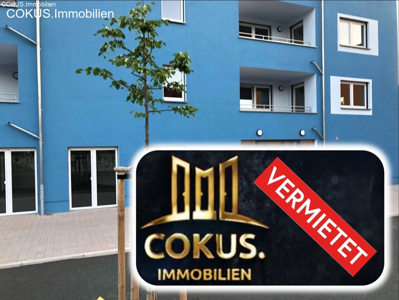 Steinbach-Hallenberg: 1A barrierefreier 1 Raum - Fahrstuhl, Küche, Terrasse- Erstbezug  Steinbach-Hallenberg: 1A barrierefreier 1 Raum - Fahrstuhl, Küche, Terrasse- Erstbezug