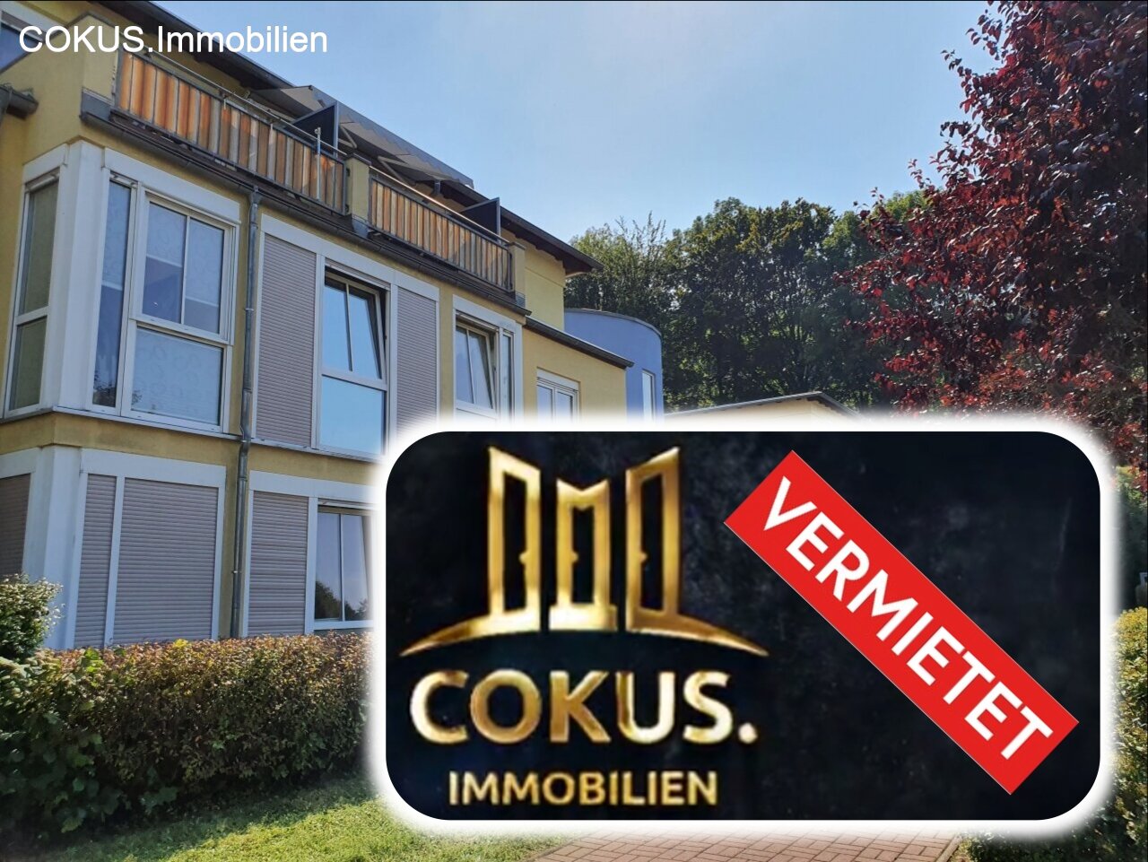 Schmalkalden: 1 Raum Erdgeschosswohnung mit Küche und Schlafnische  Schmalkalden: 1 Raum Erdgeschosswohnung mit Küche und Schlafnische